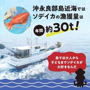冷凍保存Ｏk！エメラルドブルーの美しい海で育ったおいしいソデイカ冷凍ブロック約500グラム（1～2人前）！ W022-028u 魚 冷凍 イカ 加工品