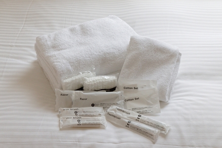 【THE KANZASHI TOKYO ASAKUSA】ホテル宿泊券 (TWIN ROOM 17～19㎡ 2名1室)_0065-003-T03