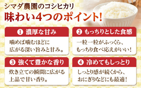 【令和7年産】無洗米 福井県産こしひかり 300g(約2合) × 10パック 計3kg  小浜市 / シマダ農園 [BFAV003] 