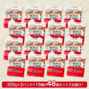 炊きたてごはん パックライス たっぷり 200g × 48食セット　| 米 お米 コメ ライス ごはん ご飯 パックご飯 白飯 白米 食品 お手軽 レンジ 湯煎 一人暮らし 常温保存 備蓄 非常食 保存食 防災 ローリングストック 山形県 鶴岡市 返礼品