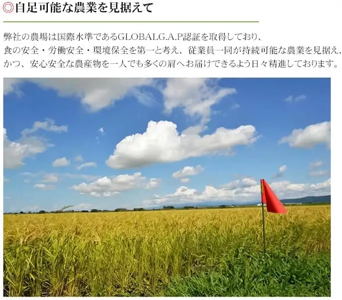 JAS有機栽培米 コシヒカリ おやじの米　玄米パックご飯 150g×18個入り  山形県鶴岡産　鈴木農産企画