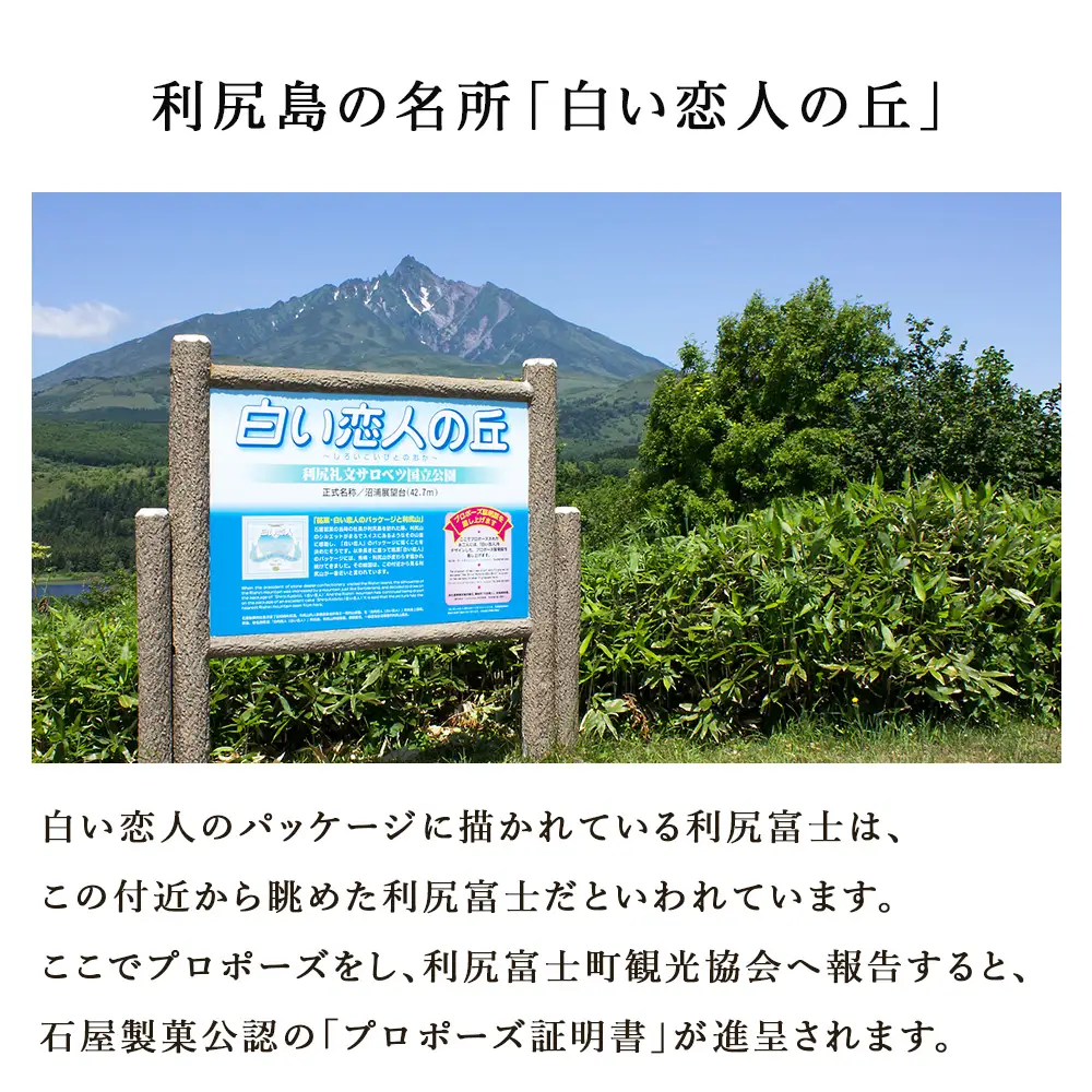 【定期便 3カ月】【白い恋人に描かれた利尻山】白い恋人（ホワイト＆ブラック）36枚缶入