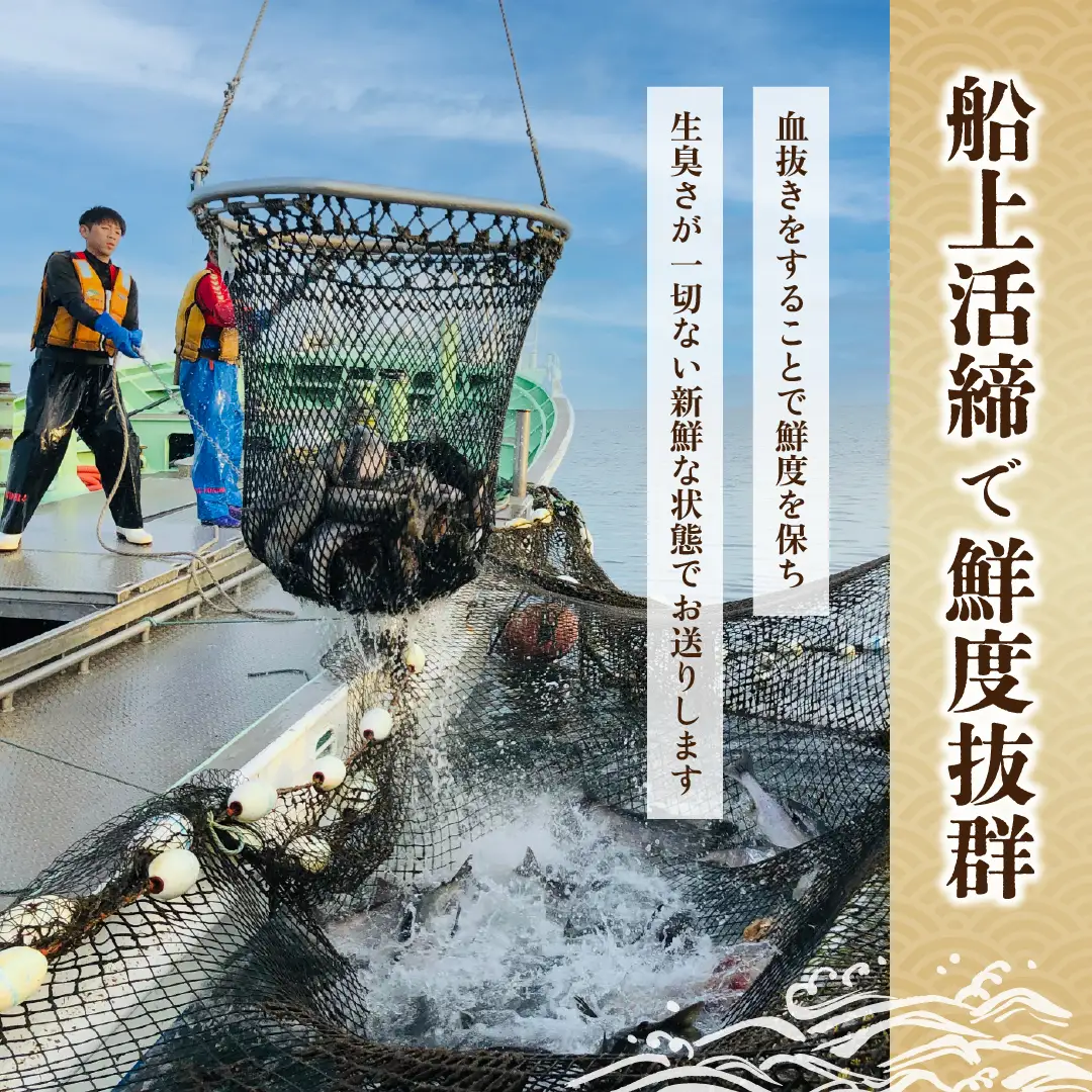 【先行受付】知床斜里産 船上活〆【骨とり】秋鮭 1.2kg(真空パック) 