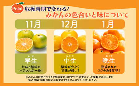 みかん 約11kg 佐賀県鹿島産 温州みかん サイズ混合 | 《先行受付11月上旬より発送予定》みかん ミカン 甘い 小玉含む フルーツ 果物 果実 くだもの 蜜柑 柑橘 国産 冬季 大容量 家庭用 贈答 お取り寄せ 佐賀県 鹿島市 B-99