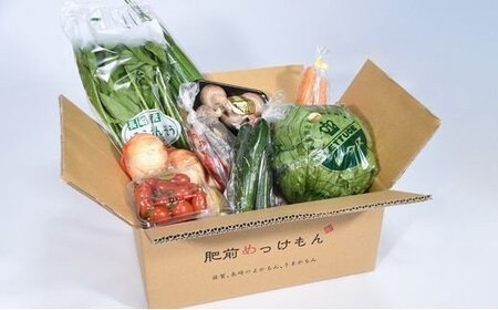 【12ヶ月 定期便】【野菜ソムリエ選定】 肥前の国のお野菜定期便 新鮮 採れたて 野菜 直売所 野菜 8～10品目 野菜定期便 J-14
