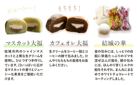和菓子 結城の美味しい味力（みりょく）満載 富士峰菓子舗《90日以内に出荷予定(土日祝除く)》茨城県 結城市 和菓子 スイーツ 詰め合わせ 桑の里 寒天ゼリー 白餡 すりごま入り餡 ホワイトチョコレート 大福 コーヒー 抹茶 シャインマスカット