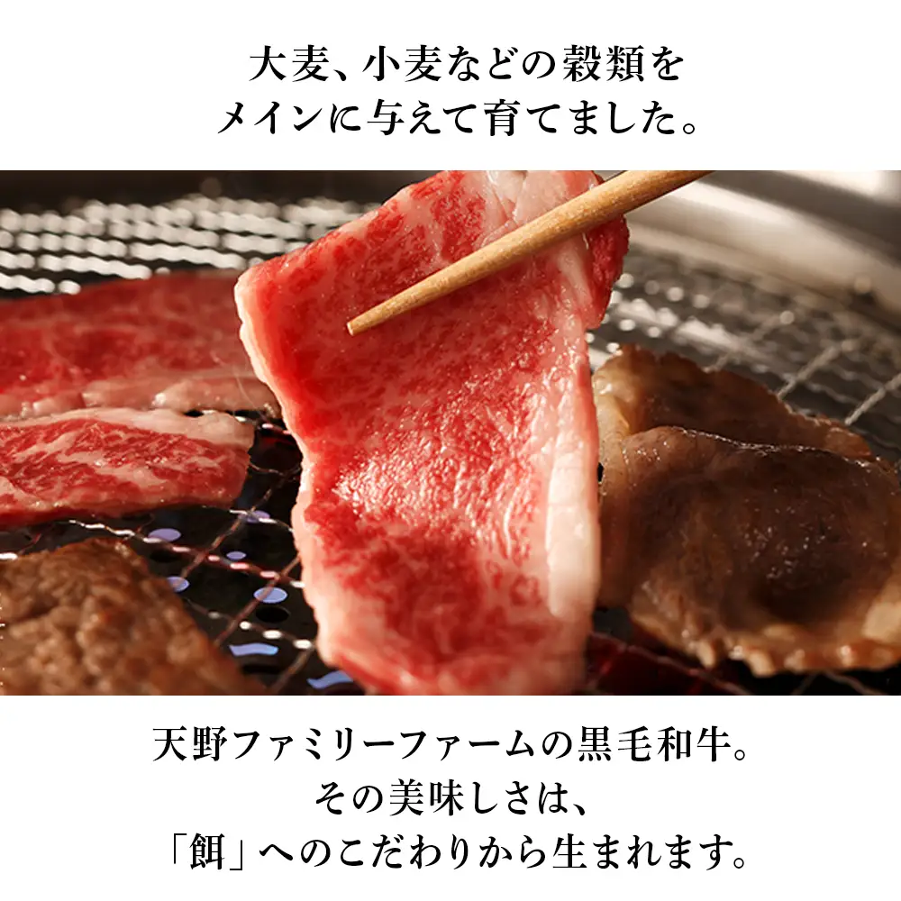 お食事券 北海道 天野ファミリーファーム (30,000円分)【牧場直営・炭火焼肉レストラン】BS019