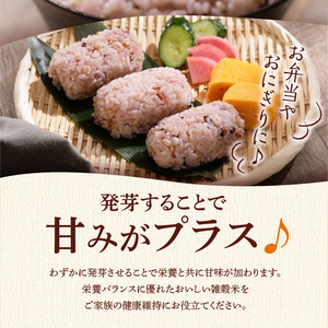 国内産 GABA雑穀米 230g×6個 計1380g 〔Gr011〕