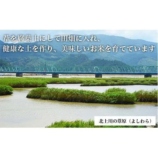 令和7年産 ササニシキ ヨシ腐葉土米  精米4kg（4kg×1袋）