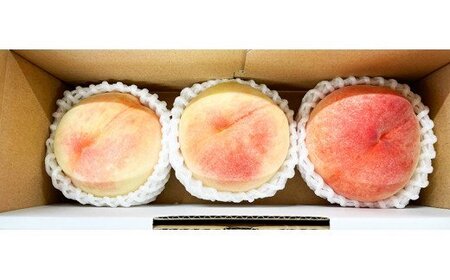 桃 秀品　紀州和歌山産の桃　３玉　化粧箱入【2026年6月下旬頃～2026年8月上旬頃に順次発送予定】【UT105】【Z91061-uot750】