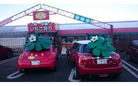 いちご狩り体験2名様 食べ放題1時間 練乳付き いちごスムージーコース 【現地体験型】 利用券 チケット 観光 旅行 イチゴ 苺 F4H-0033