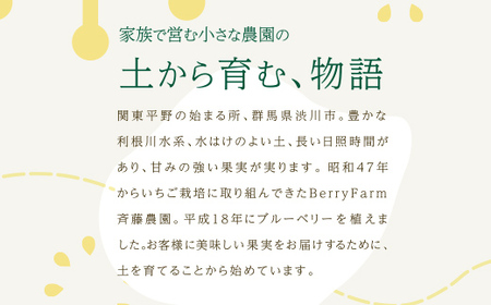 ブルーベリー特選大粒600g 朝摘みでお届け！【5年連続最高金賞受賞 群馬県ブルーベリー品評会2021~2025年】化学農薬不使用 除草剤不使用 フルーツ 果物 F4H-0683