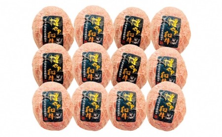 博多和牛生ハンバーグ　150g×12パック　合計1.8kg[H4509]