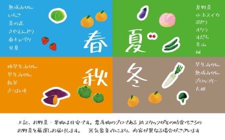 【定期便3回】阿波かつうら 農産物詰合わせ