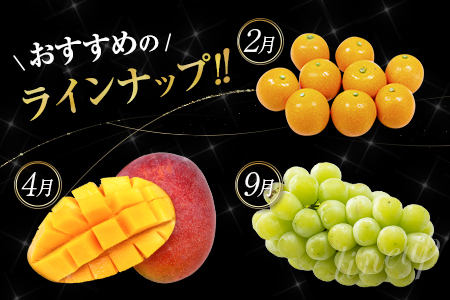 旬のフルーツ定期便 12か月コース【F113-25】