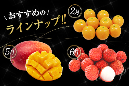 旬のロイヤルフルーツ定期便 12ヵ月コース【G28-25】