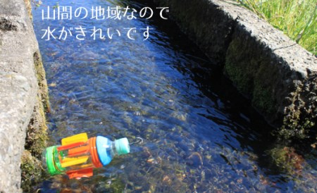 レンゲ栽培米 夢つくし 5kg 【2025年10月以降順次発送】 [ABAT001] 
