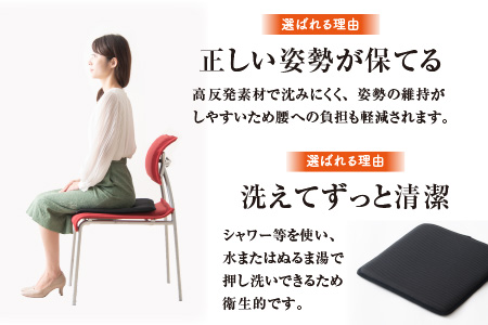 【ムレずに快適】日本製 シートクッション メディカルコンフォート 1枚 日本製 メディカルコンフォート 1枚 腰 腰痛 改善 お尻 オフィス イス 車 デスクワーク 持ち運び 座布団 永平寺町 通気性  [C-041001]