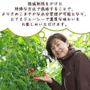 甘くて濃厚な味わい「うるるんトマト」(1kg） NFK0001