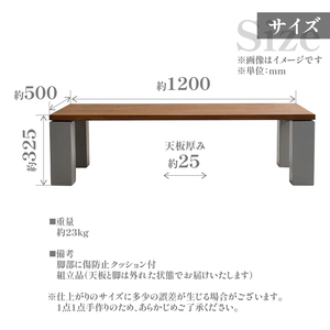 HITTITEのローテーブル "The zou”（W120cm×D50cm）ヒッタイト アイアンテーブル 机 ローテーブル インテリア 家具 おしゃれ　063-27