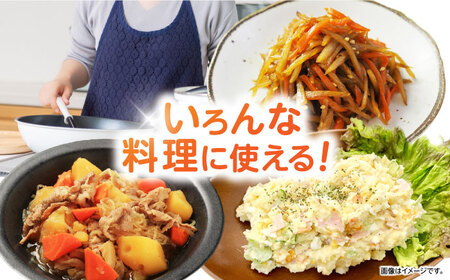 滝さんの人参 10kg 人参 AHCU001