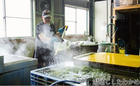 海藻 瀬戸内で採れた島磯香る わかめ 22g×1袋と ひじき 28g×2袋 セット