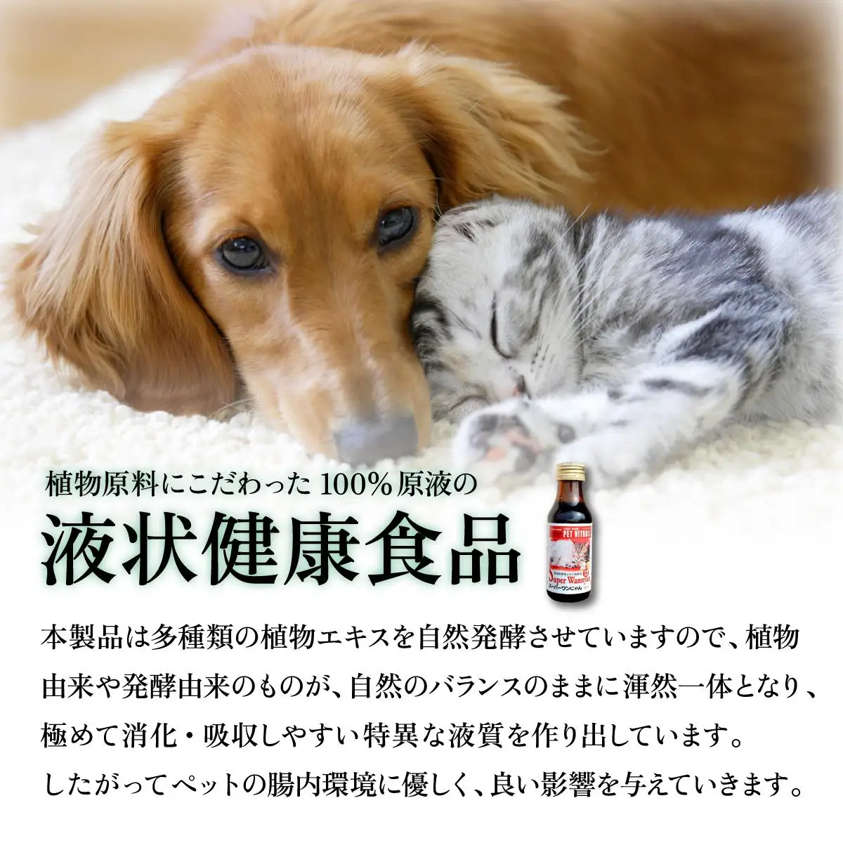 [5525-0719]大高酵素の犬猫用植物エキス発酵液「スーパーワンにゃん」100ml入り2本セット