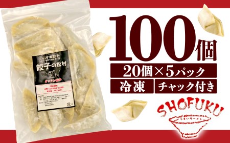 にんにく ぎょうざ 100個 小分け 冷凍 国産 ぎょうざ