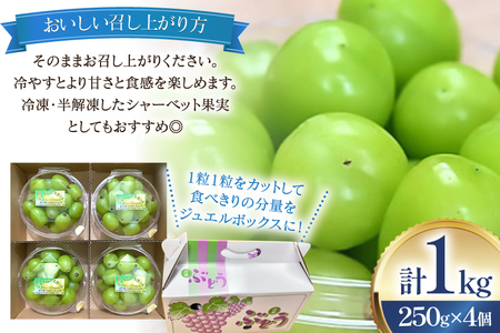【期間限定発送】 シャインマスカット 粒 ジュエルボックス 250g 4個 計 1kg [治右衛門果樹園 山形県 高畠町 tk06ays830008]