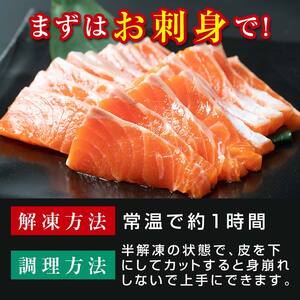 【釧路産】 くしろ 夕日 サーモン 約600g 北海道産 釧路 刺身 カルパッチョ ムニエル 鮭