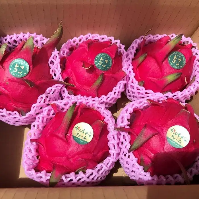 奄美産 食べごろ樹上完熟『赤蜜ドラゴンフルーツ』2kg×2箱セット【先行予約　7月~10月発送】