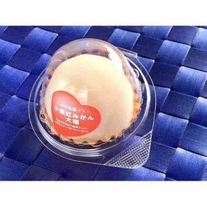 小原紅みかん大福（85g×6個）+小原紅みかんアイス大福（70g×6個）セット｜配送不可地域：北海道・沖縄県・離島｜ふるさと 納税 返礼品 お取り寄せ 取り寄せ グルメ 柑橘 スイーツ お菓子 スィーツ スウィーツ おかし フルーツ大福 大福 だいふく
