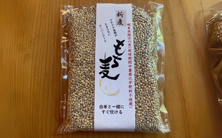 もち麦 【1.6kg】 そのままごはんと一緒にすぐ炊ける 8ぶづき ～栽培期間中 化学肥料 農薬不使用～G15-11 