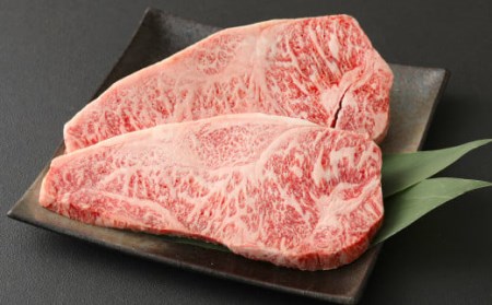 おおいた和牛 サーロインステーキ & リブローススライス 牛肉 豊後牛