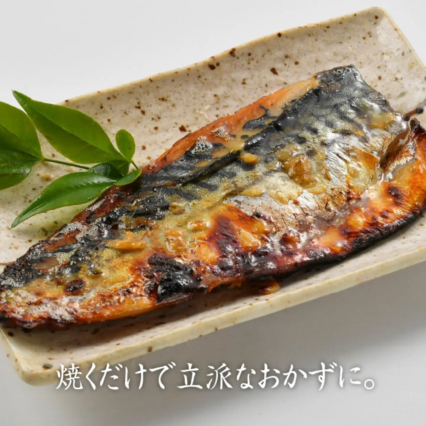 もろみ漬け 3種セット（銀だら・ふくいサーモン・鯖） 