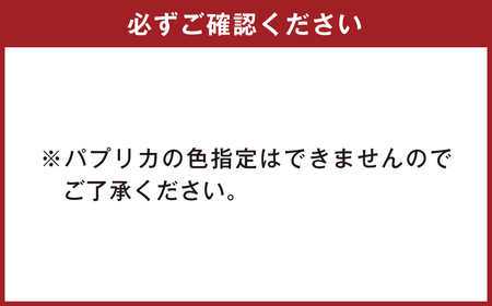 大分県九重町産 温泉 パプリカ 5kg