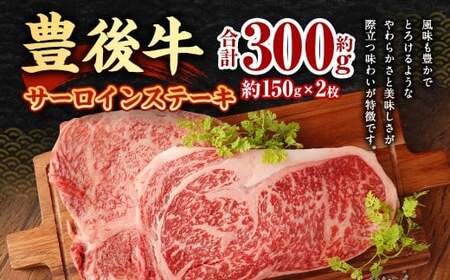 【大分県産】豊後牛 サーロイン ステーキ 約300g (約150g×2) 牛肉