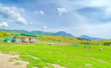 やまなみ牧場 で使える 利用 補助券 ( 9000円分 ) 九重 牧場 ギフト券 利用券 動物 チケット