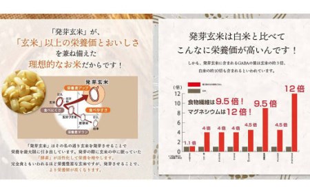 【機能性表示食品・ 1食 お試し セット 】3日寝かせ 発芽 酵素 玄米 ごはん ＋ GABA 125g×1食
