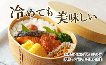 【無洗米】北海道産 う米蔵5kg×2袋