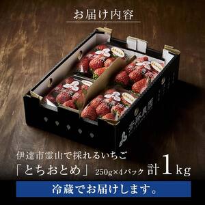 2026年発送＞伊達市霊山で採れるいちご「とちおとめ」1kg （250g×4