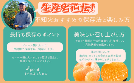 不知火 たにぐち農園の完熟不知火 5kg【mtn011B】