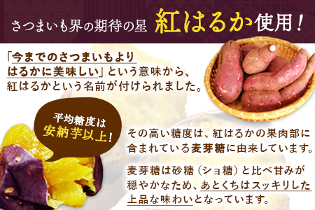 熊本県産 焼き干し芋 合計100g(100g×1袋)《1-5日以内に出荷予定(土日祝除く)》