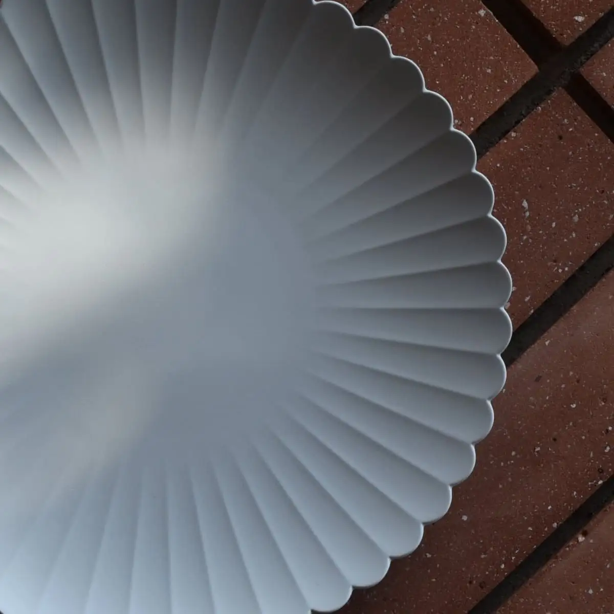 1616/ TY Palace Plate 220 2枚セット【1616/arita japan】有田焼 食器 器 皿 中皿 プレート パレスプレート グレー シンプル 35000円 3.5万円 A35-622