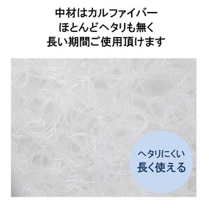 ペット用 洗える ベッド 単品 S アイボリー（68×47×3）　016100