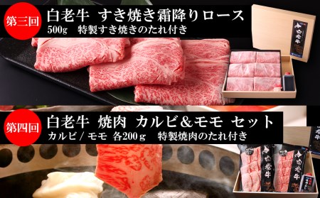 定期便 全4回 白老牛 お楽しみ 頒布会 ＜白老徳寿＞