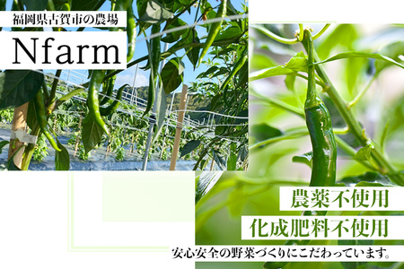 調味料 万能調味料 食べ比べ 食べる唐辛子 青唐辛子 TABERU～福岡県産青唐辛子と醤油と花椒～,～花椒BOOST～ 2個セット 農薬不使用 化成肥料不使用