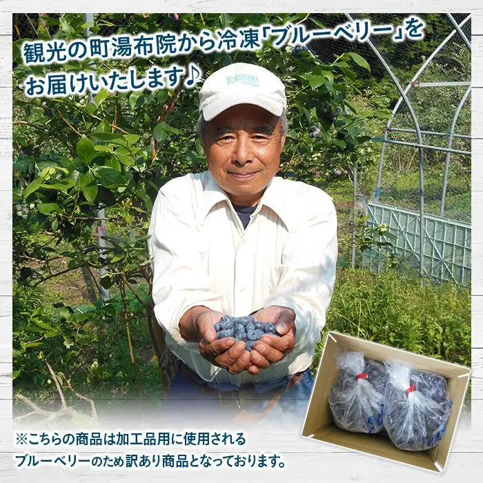 【由布市湯布院町産】 訳あり 冷凍ブルーベリー 2kg（1kg×2個）