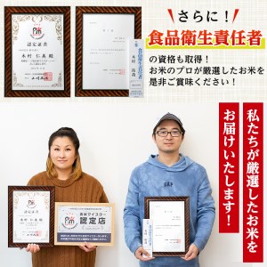 【12回定期便(連続)】鹿児島県 出水市産 あきほなみ 美白米 定期便 (3kg×2袋・計6kg)×全12回 【田上商店】 i652