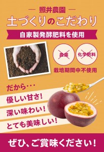 【 2026年 先行予約 】 農薬 ・ 化学肥料 不使用 奄美 パッションフルーツ 1kg（12個前後）家庭用 A045-003 果物 フルーツ パッション 奄美パッションフルーツ トロピカルフルーツ 南国フルーツ 先行受付 事前受付 事前予約 受付 予約 限定 農薬不使用 化学肥料不使用 自家製発酵肥料 農家直送 お裾分け 家庭用 奄美大島産 照井農園 ふるさと納税 奄美市 おすすめ ランキング プレゼント ギフト